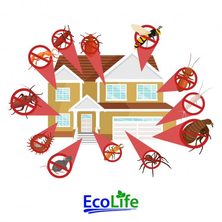 Pest Shield Services Monthly Subscription EcoLife